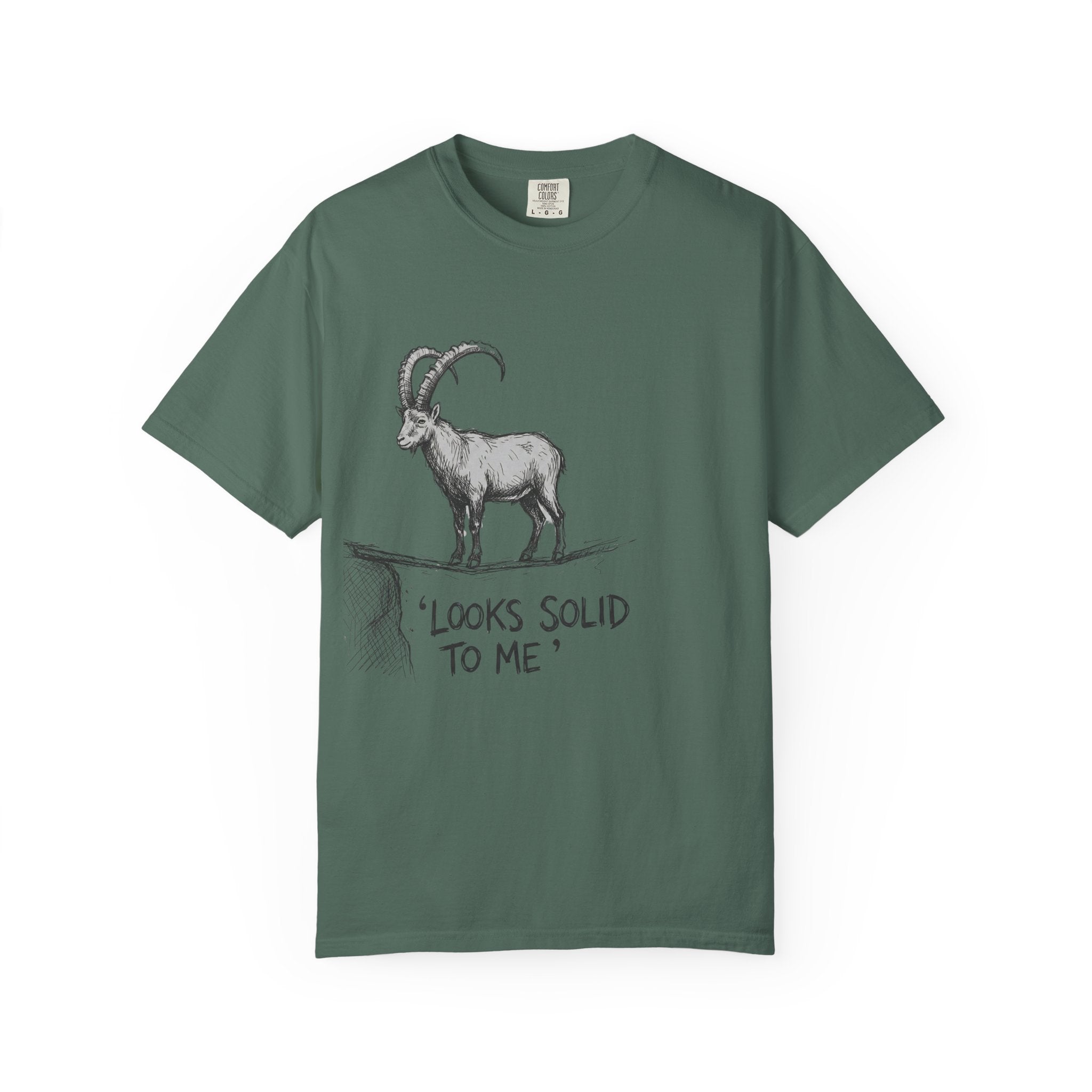 Looks Solid to Me T-Shirt